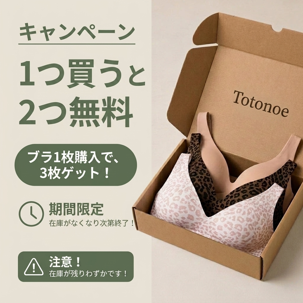 TOTONOE™ | シームレスナイトブラ 3枚セット｜ノンワイヤー・締めつけゼロ